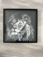 Leeuw Schilderij met Zwarte Lijst, Ophalen