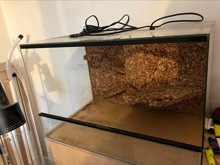 TERRARIUM STARTERPACK, Dieren en Toebehoren, Reptielen en Amfibieën | Toebehoren, Zo goed als nieuw, Terrarium of Paludarium, Ophalen