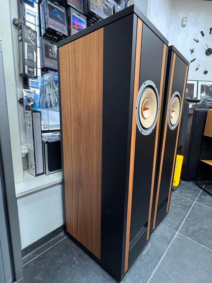 High End Lyritech Magic 10 breedband luidsprekers, Audio, Tv en Foto, Luidsprekers, Gebruikt, Front, Rear of Stereo speakers, Minder dan 60 watt