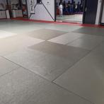 Judo matten 2 bij 1, Gebruikt, Judo, Ophalen of Verzenden, Vechtsportmateriaal
