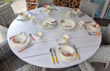 Mooi barbecue/bbq servies beschikbaar voor biedingen