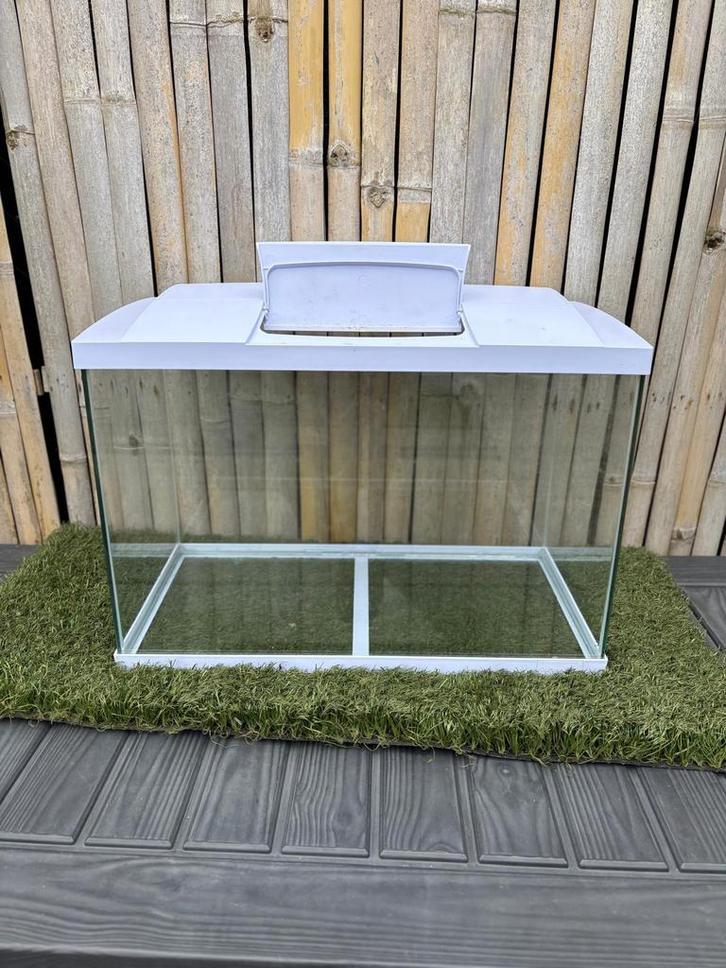 🐠 Aquarium Superfish Start 70 –, Dieren en Toebehoren, Vissen | Aquaria en Toebehoren, Zo goed als nieuw, Leeg aquarium, Ophalen