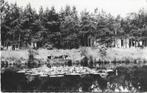 Spier, Ophalen of Verzenden, Gelopen