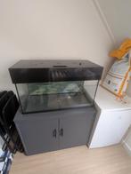 Aquarium 80*35*40 met filter, onderkast en div. toebehoren, Ophalen, Gebruikt, Leeg aquarium