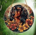 Raamhanger teckel  ( ruwhaar - langhaar ), Verzenden, Nieuw