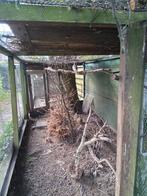 Oosterse Tortels, Dieren en Toebehoren, Vogels | Duiven, Meerdere dieren, Tortelduif
