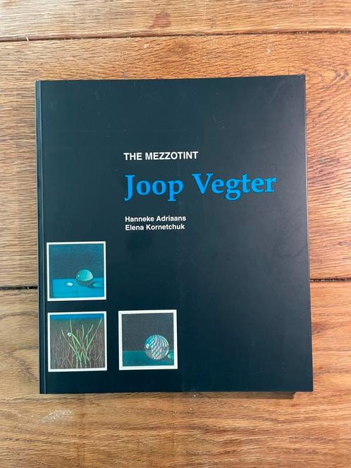 The Mezzotint – Joop Vegter (1998), zeer nette softcover, Boeken, Kunst en Cultuur | Architectuur, Zo goed als nieuw, Architecten