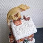 1.0 phantom porthole (blush) wimpergekko 2024, Hagedis, Tam, 0 tot 2 jaar