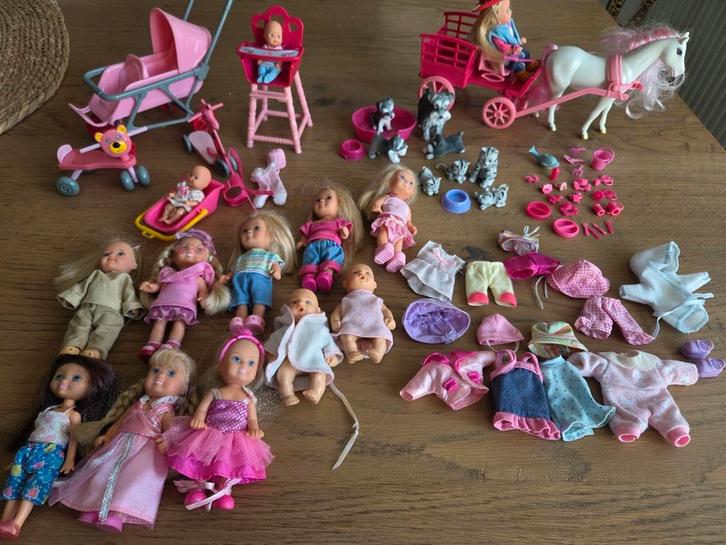 Grote set Evi Love / kleine Barbies met veel accessoires!, Kinderen en Baby's, Speelgoed | Poppen, Gebruikt, Overige typen, Ophalen of Verzenden