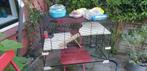 Terrarium voor hamster, gerbil etc., Dieren en Toebehoren, Knaagdieren en Konijnen | Hokken en Kooien, Kooi, Gebruikt, Hamster