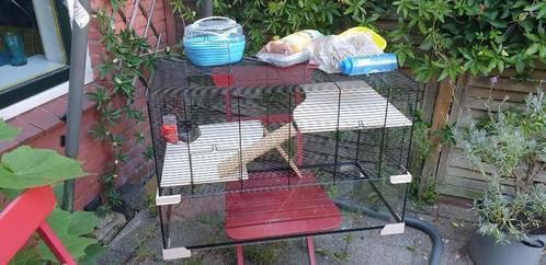 Terrarium voor hamster, gerbil etc., Dieren en Toebehoren, Knaagdieren en Konijnen | Hokken en Kooien, Gebruikt, Kooi, Minder dan 60 cm