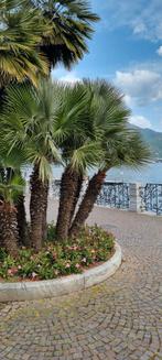 Chalet te huur Luganomeer Italië - Seizoen 2026, Vakantie, Vakantiehuizen | Italië, 2 slaapkamers, Lombardije en Merengebied, Recreatiepark