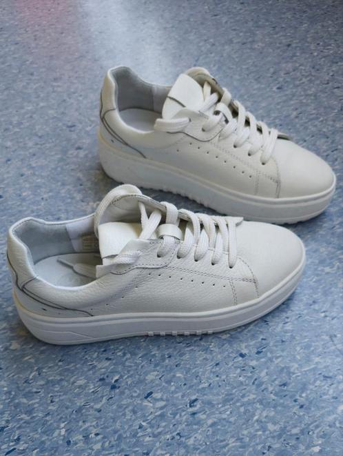 Nieuwe poelman sneakers maat 38, Kleding | Dames, Schoenen, Nieuw, Sneakers of Gympen, Ophalen of Verzenden