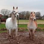 Gezocht omgeving Wageningen, Ophalen of Verzenden