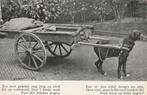 Hondenkar Hond oude ansichtkaart, Ophalen of Verzenden, Voor 1920, Ongelopen, Gelderland