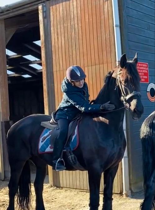 Verzorger aangeboden Gouda/Reeuwijk, Dieren en Toebehoren, Paarden en Pony's | Verzorgingsproducten, Zo goed als nieuw, Ophalen of Verzenden