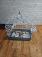 Vogel kooi met veel toebehoren 58x36x62hoog, Ophalen, Zo goed als nieuw, Metaal, Vogelkooi