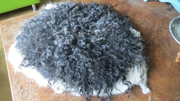 Gevilte wol, soort kussen voor tuinstoel, Gotlander schaap, Tuin en Terras, Tuinmeubel-accessoires, Nieuw, Verzenden