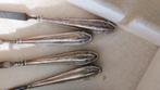Antieke manicure Zilveren set, Ophalen of Verzenden, Zilver