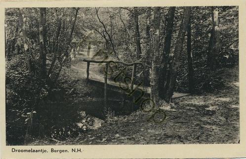 Bergen (NH) - Droomelaantje [KRST005-4437, Verzamelen, Ansichtkaarten | Nederland, Gelopen, Noord-Holland, 1960 tot 1980, Verzenden