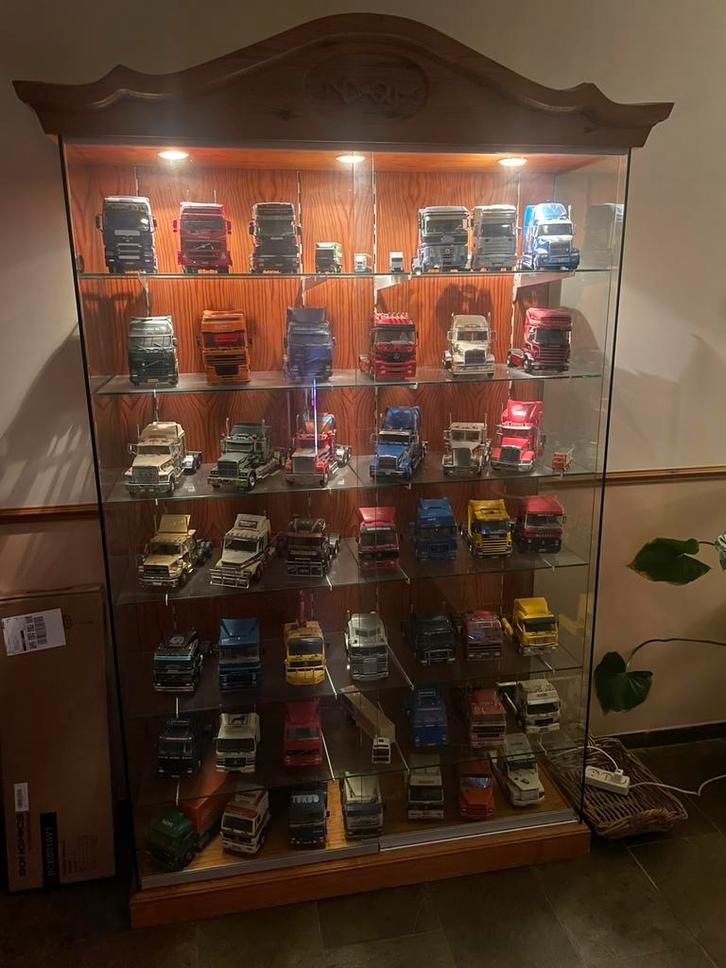 Handgemaakte vitrine kast, Huis en Inrichting, Kasten | Vitrinekasten, Zo goed als nieuw, 200 cm of meer, 100 tot 150 cm, 25 tot 50 cm