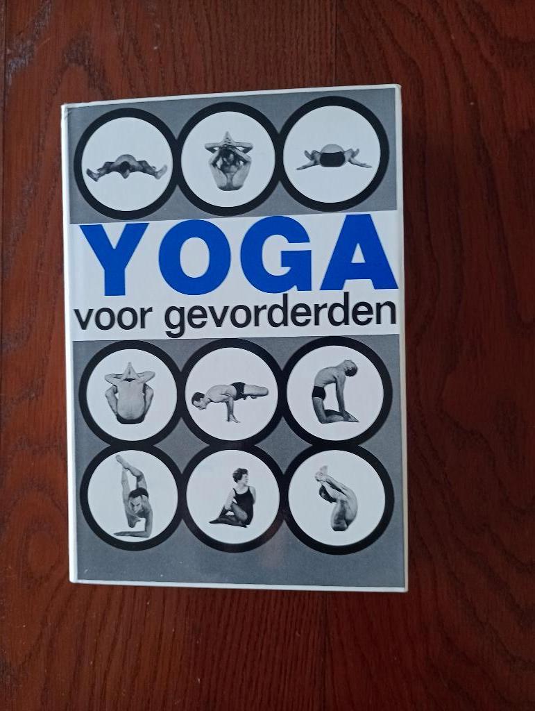 YOGA VOOR GEVORDERDEN André van Lysebeth Ankh Hermes, Boeken, Ophalen of Verzenden, Zo goed als nieuw, Instructieboek, André van Lysebeth