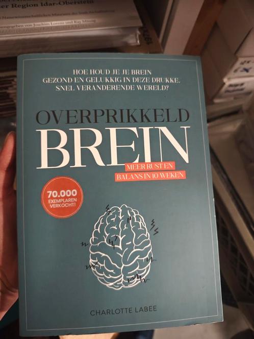 Charlotte Labee - Overprikkeld brein, Boeken, Psychologie, Zo goed als nieuw, Ophalen of Verzenden