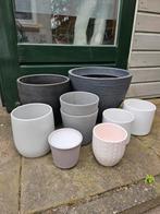Planten potten voor binnen, Huis en Inrichting, Kamerplanten, Ophalen, Overige soorten, Minder dan 100 cm