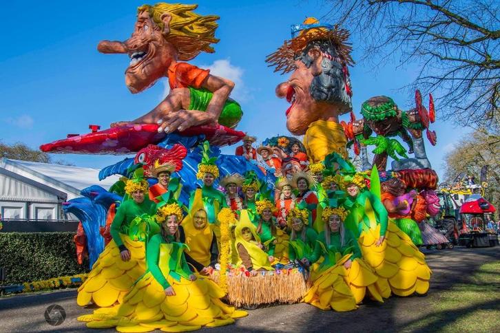 Carnavalspakken ananas te koop carnavalsgroep (10 stuks), Kleding | Dames, Carnavalskleding en Feestkleding, Gedragen, Kleding