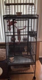 Vogelkooi, Dieren en Toebehoren, Vogels | Hokken en Kooien, Ophalen, Zo goed als nieuw, Metaal, Vogelkooi