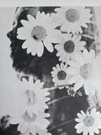 Flower Power Fotogravure - Jaren 60/70, Ophalen of Verzenden