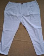 Extra grote maat dames werkbroek zorg pedicure schoonheidssp, Kleding | Dames, Ophalen, Wit, Maat 46/48 (XL) of groter, Nieuw