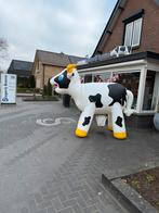 Te huur ranja koe, Hobby en Vrije tijd, Feestartikelen | Verhuur, Ophalen of Verzenden, Zo goed als nieuw