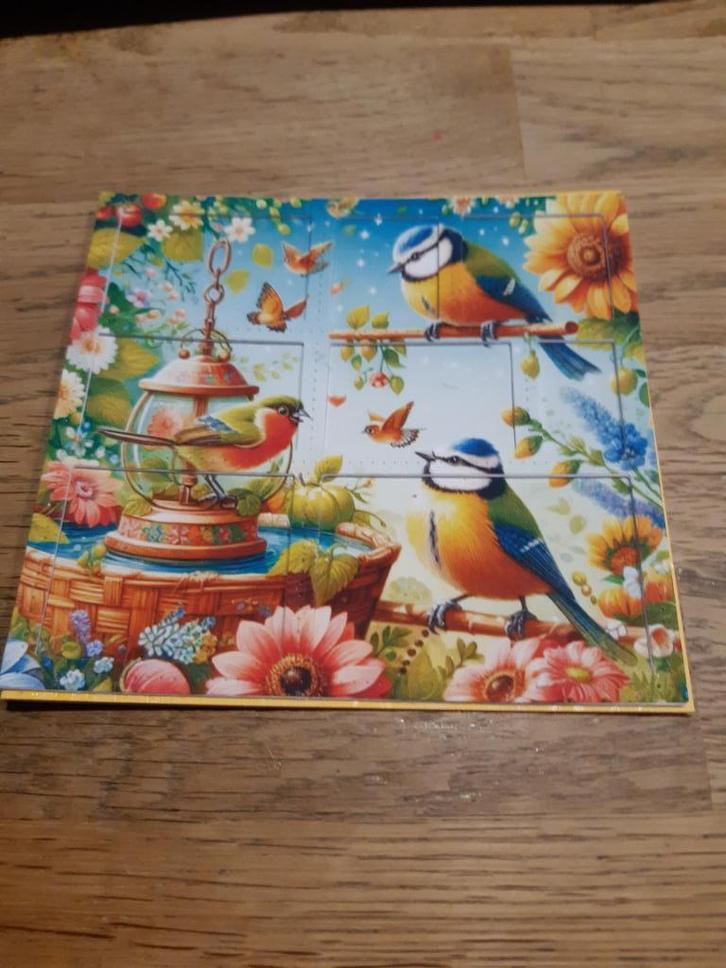 Diepte-Meesjes(816), Hobby en Vrije tijd, Kaarten | Zelfgemaakt, Nieuw, Overige thema's, Ophalen of Verzenden