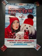 Samson en Marie kerstshow poster, Ophalen of Verzenden, Rechthoekig Staand, Film en Tv