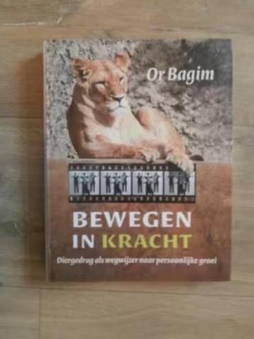 Bewegen in kracht - Or Bagim beschikbaar voor biedingen