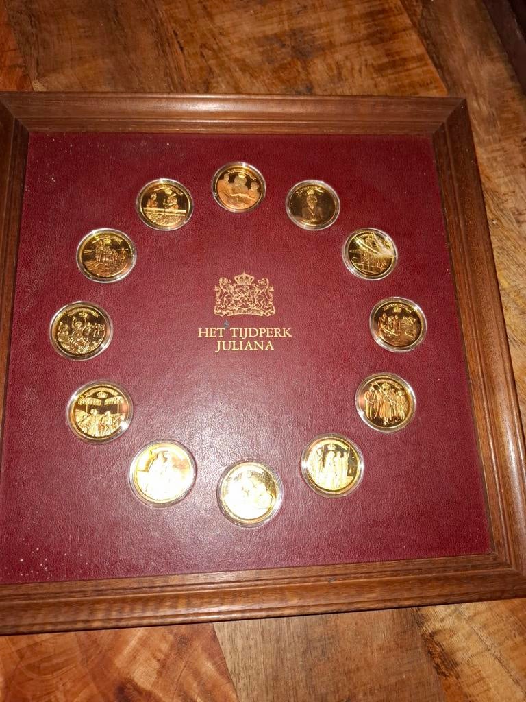 EXCLUSIEVE GOUD OP ZILVER COLLECTIE, Postzegels en Munten, Ophalen, Nederland, Munten