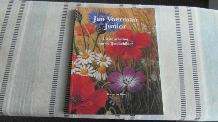 VOERMAN jr. fraai boek in nieuwstaat, Boeken, Kunst en Cultuur | Beeldend, Zo goed als nieuw, Schilder- en Tekenkunst, Ophalen of Verzenden