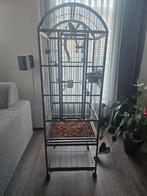 Papegaaienkooi, Ophalen, Zo goed als nieuw, Metaal, Vogelkooi