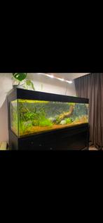 Aquarium 160x70x70cm (LEEG), Dieren en Toebehoren, Vissen | Aquaria en Toebehoren, Ophalen, Gebruikt, Leeg aquarium