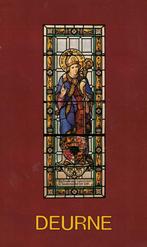 Suurland's vademecum Deurne 1979, Boeken, Ophalen of Verzenden, Meerdere auteurs, 20e eeuw of later, Gelezen