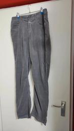 Closed velvet broek grijs maat 33, Kleding | Dames, Maat 38/40 (M), Nieuw, Ophalen of Verzenden, Grijs