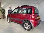 Fiat Panda 1.2 Professional 4x4 NIEUWE APK !, Auto's, 15 km/l, Gebruikt, 1242 cc, Origineel Nederlands
