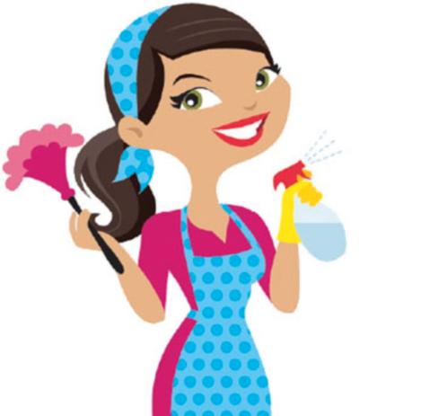 ➸ Ervaren huishoudelijke hulp 🠛, Diensten en Vakmensen, Huishoudelijke hulp, Schoonmaken, Strijken, Wassen