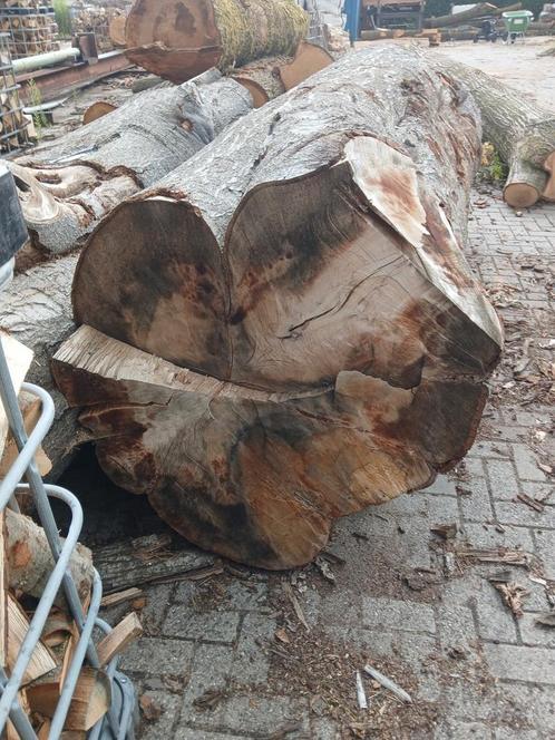 3 zware beuken stammen zaaghout boomstamtafel, Doe-het-zelf en Verbouw, Hout en Planken, Overige houtsoorten, 50 mm of meer, Ophalen