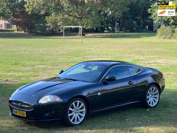 JAGUAR CARS XK 4.2 V8 Coupé / Youngtimer / 101.000km! beschikbaar voor biedingen