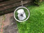 :28 inch achterwiel 3 NEXUS versnellingen rollerbrake, Wiel, Gebruikt, Shimano Nexus, Algemeen