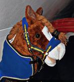 Van stokpaard naar hobby horse, Hobby en Vrije tijd, Ophalen of Verzenden, Nieuw