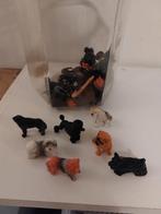 Diverse hondjes, Ophalen of Verzenden, Nieuw