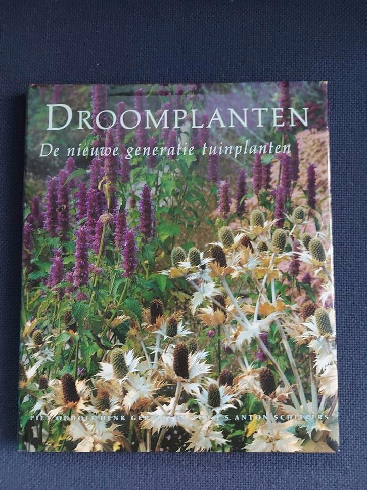 Droomplanten, een nieuwe generatie tuinplanten Piet Oudolf, Boeken, Wonen en Tuinieren, Zo goed als nieuw, Ophalen of Verzenden